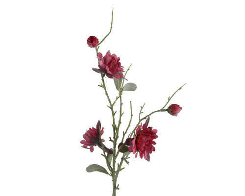 FLOARE DECORATIVĂ - Basics (5/3/75cm)