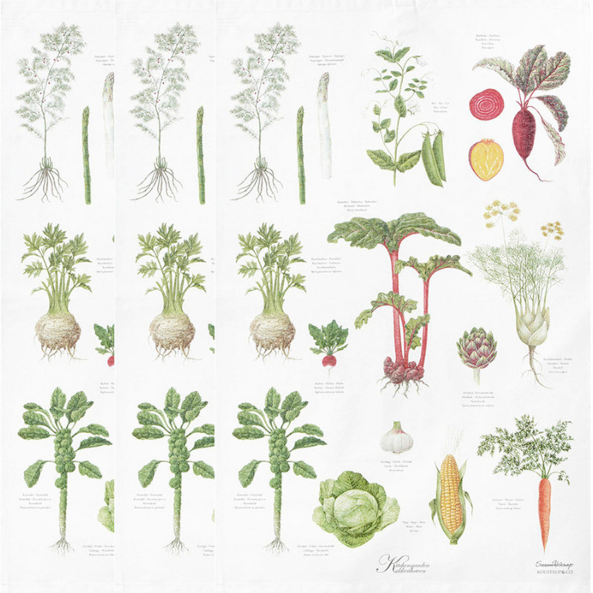 GESCHIRRTUCH-SET 3-teilig Multicolor  - Multicolor, Basics, Textil (50/70cm)