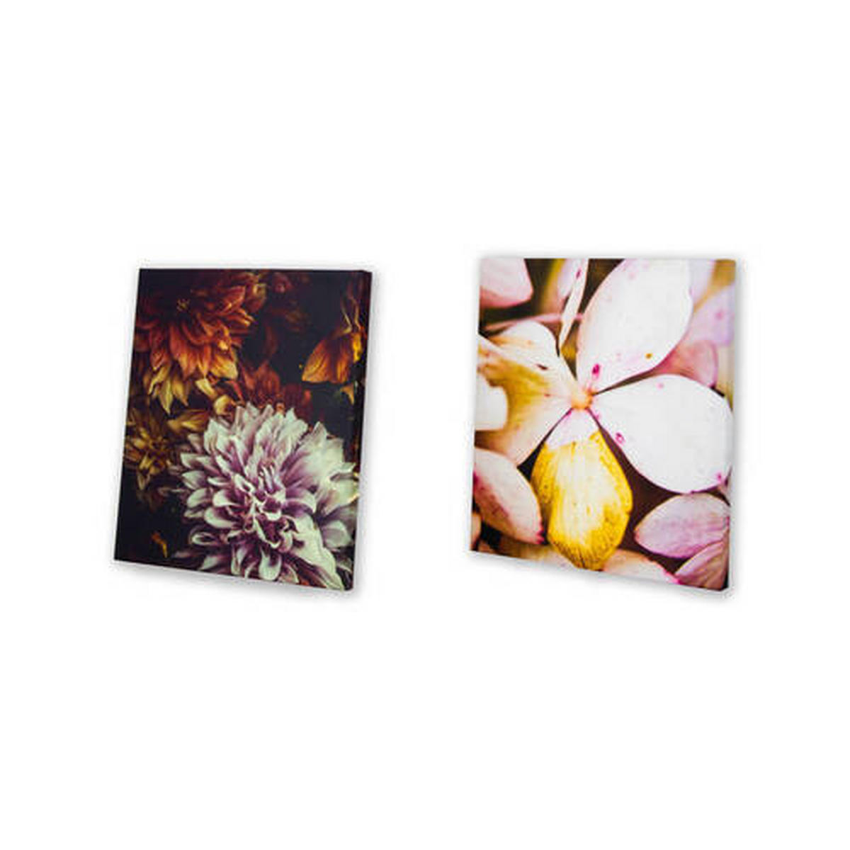 LEINWANDBILD Blumen, Blätter 80/60/3 cm  - Pink, Basics, Wellpappe/Textil (80/60/3cm)