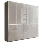 KLEIDERSCHRANK 250/236/58 cm 5-türig Grau, Dunkelgrau  - Chromfarben/Dunkelgrau, KONVENTIONELL, Glas/Holzwerkstoff (250/236/58cm) - Novel