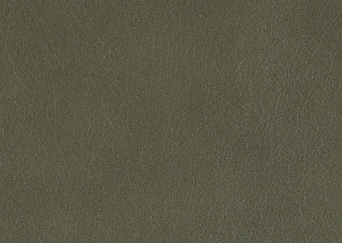 ECKSOFA in Echtleder Waldgrün  176/334 cm  - Waldgrün/Schwarz, Design, Leder/Metall (176/334cm) - Dieter Knoll