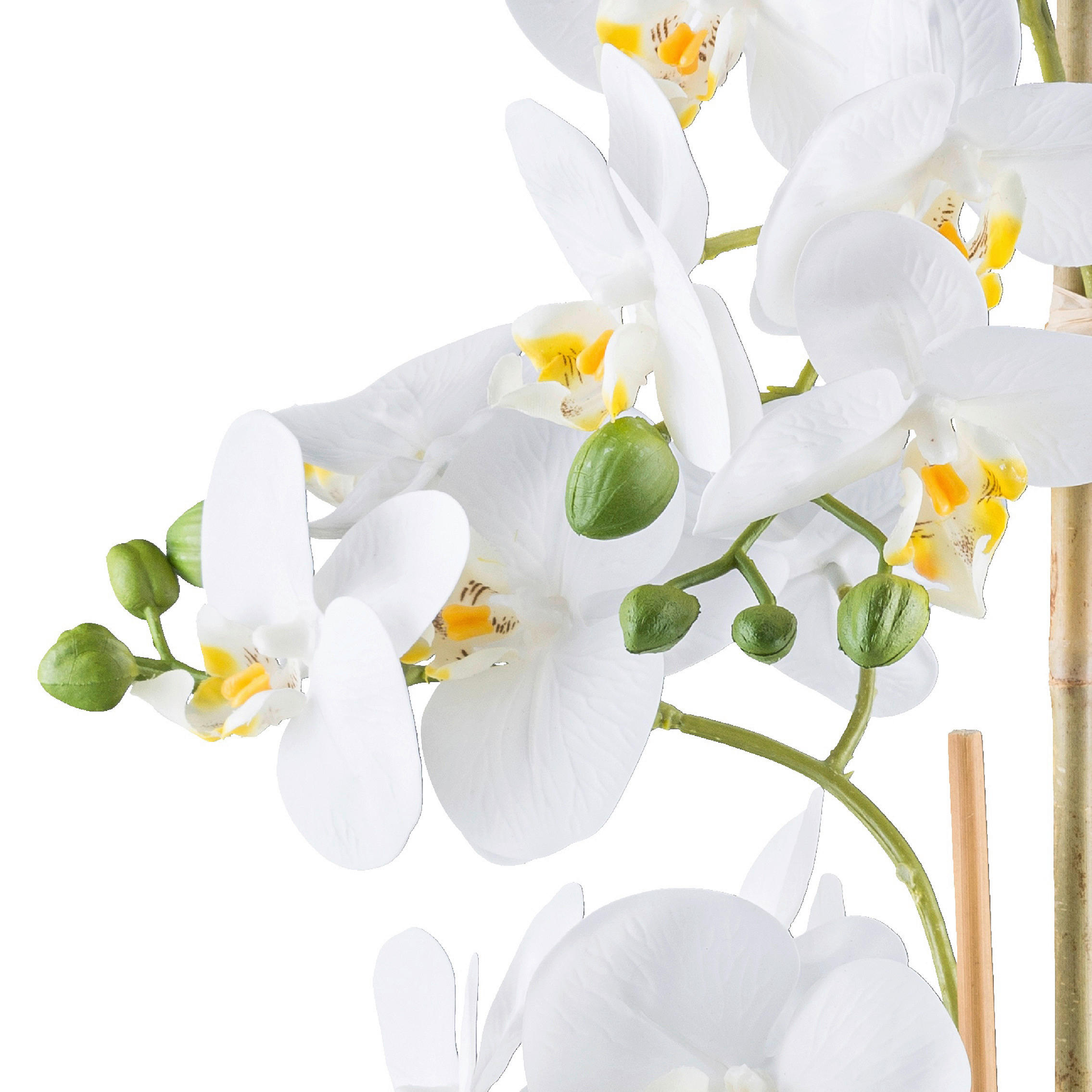 KUNSTPFLANZE Orchidee 62 cm  - Silberfarben/Weiß, Design, Keramik/Kunststoff (62cm) - P & B