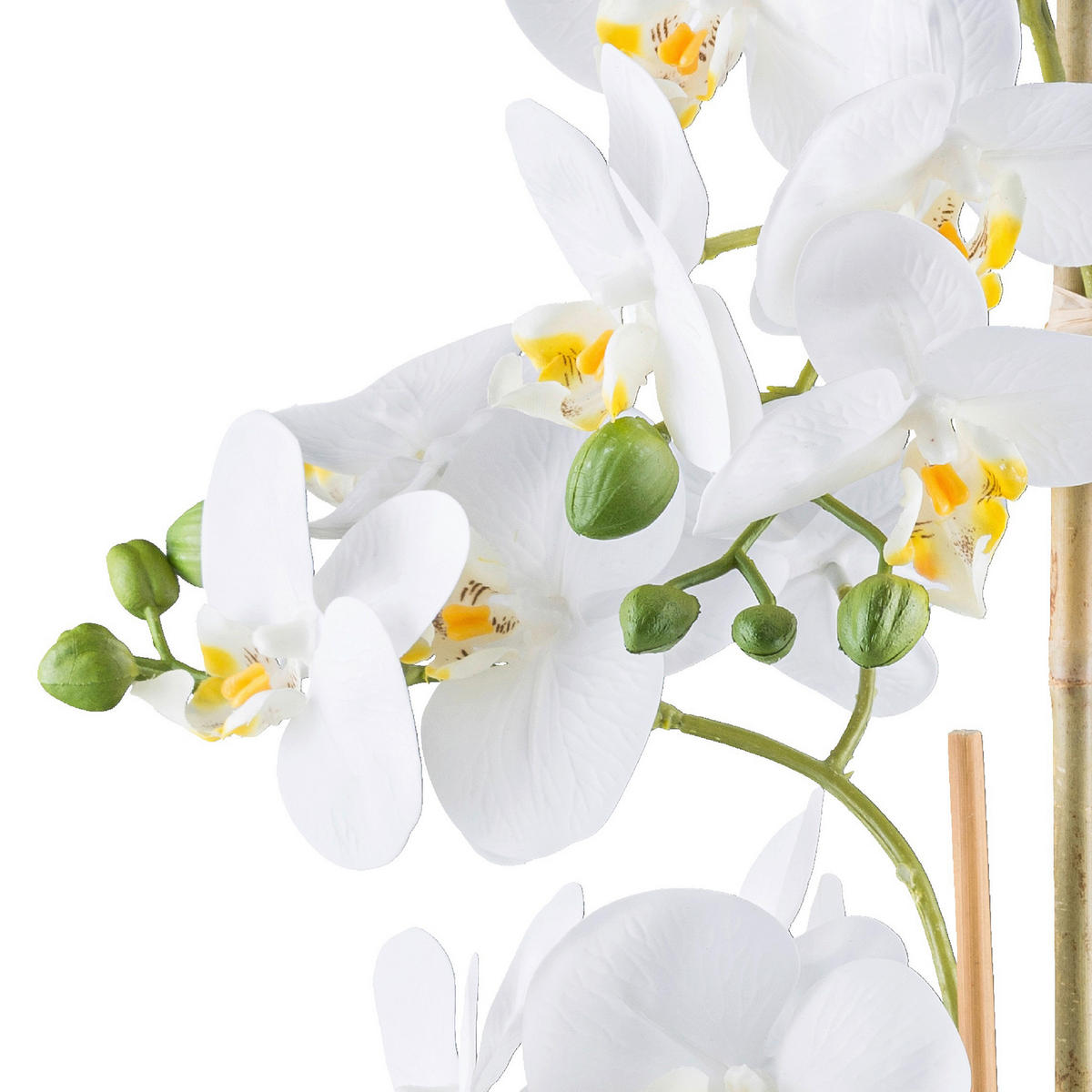 KUNSTPFLANZE Orchidee 62 cm  - Silberfarben/Weiß, Design, Keramik/Kunststoff (62cm) - P & B