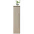 MIDISCHRANK 30/130,8/30 cm - Chromfarben/Grau, Design, Glas/Holzwerkstoff (30/130,8/30cm) - Novel MIDISCHRANK 30/130,8/30 cm - Chromfarben/Grau, Design, Glas/Holzwerkstoff (30/130,8/30cm) - Novel
