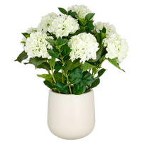 KUNSTPFLANZE Hortensie  - Creme/Grün, Basics, Kunststoff (25/75/25cm)