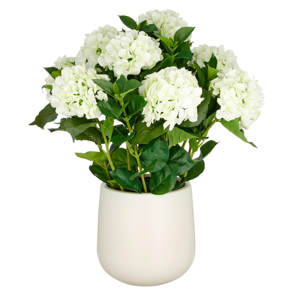 KUNSTPFLANZE Hortensie  - Creme/Grün, Basics, Kunststoff (25/75/25cm)