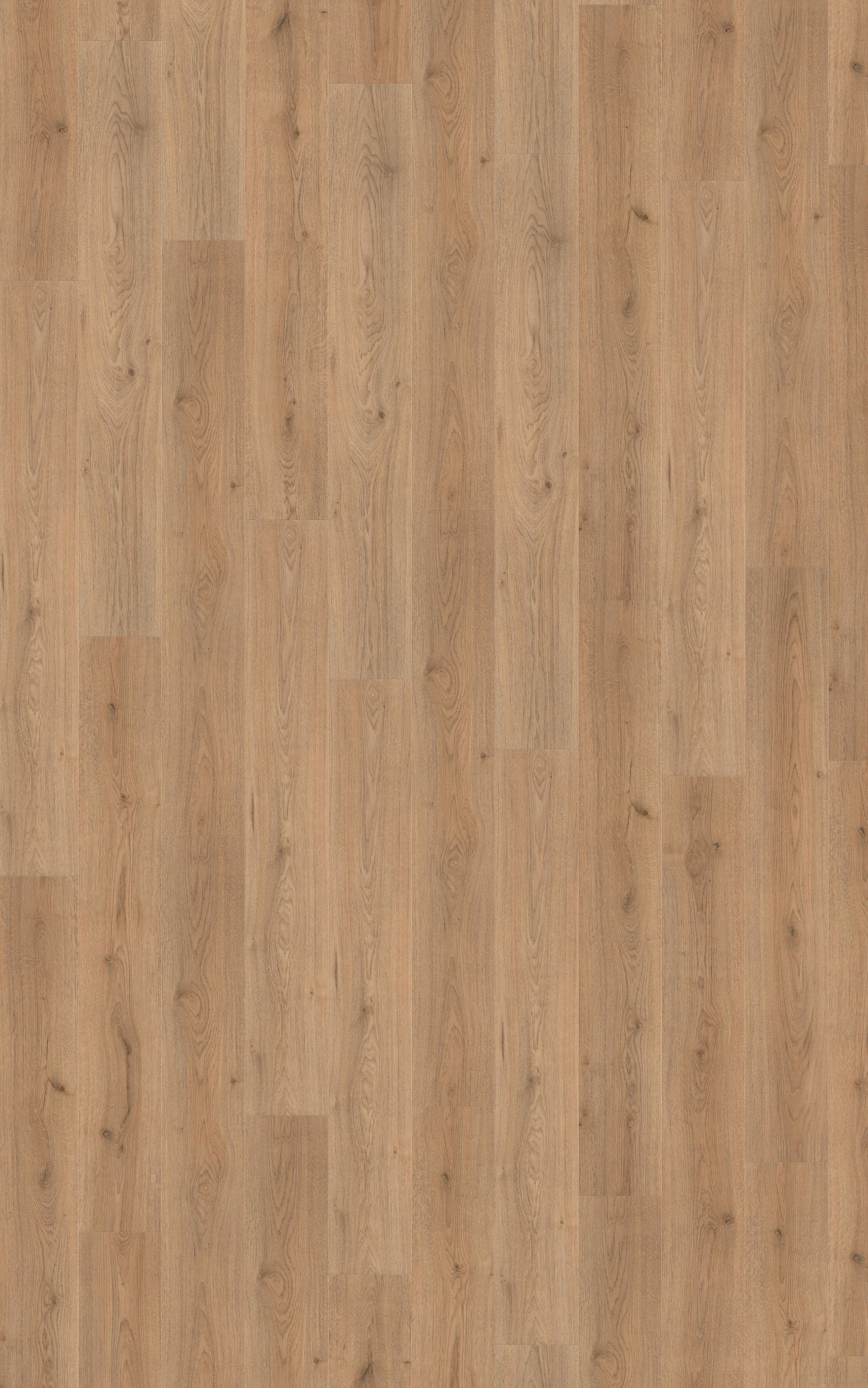 LAMINATBODEN Superior Advanced  - Eichefarben, KONVENTIONELL, Holz (138.0/19.3/0.8cm)