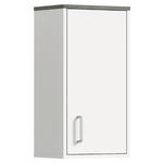 HÄNGESCHRANK 32/60/21 cm  - Silberfarben/Weiß, MODERN, Holzwerkstoff/Kunststoff (32/60/21cm) - Xora