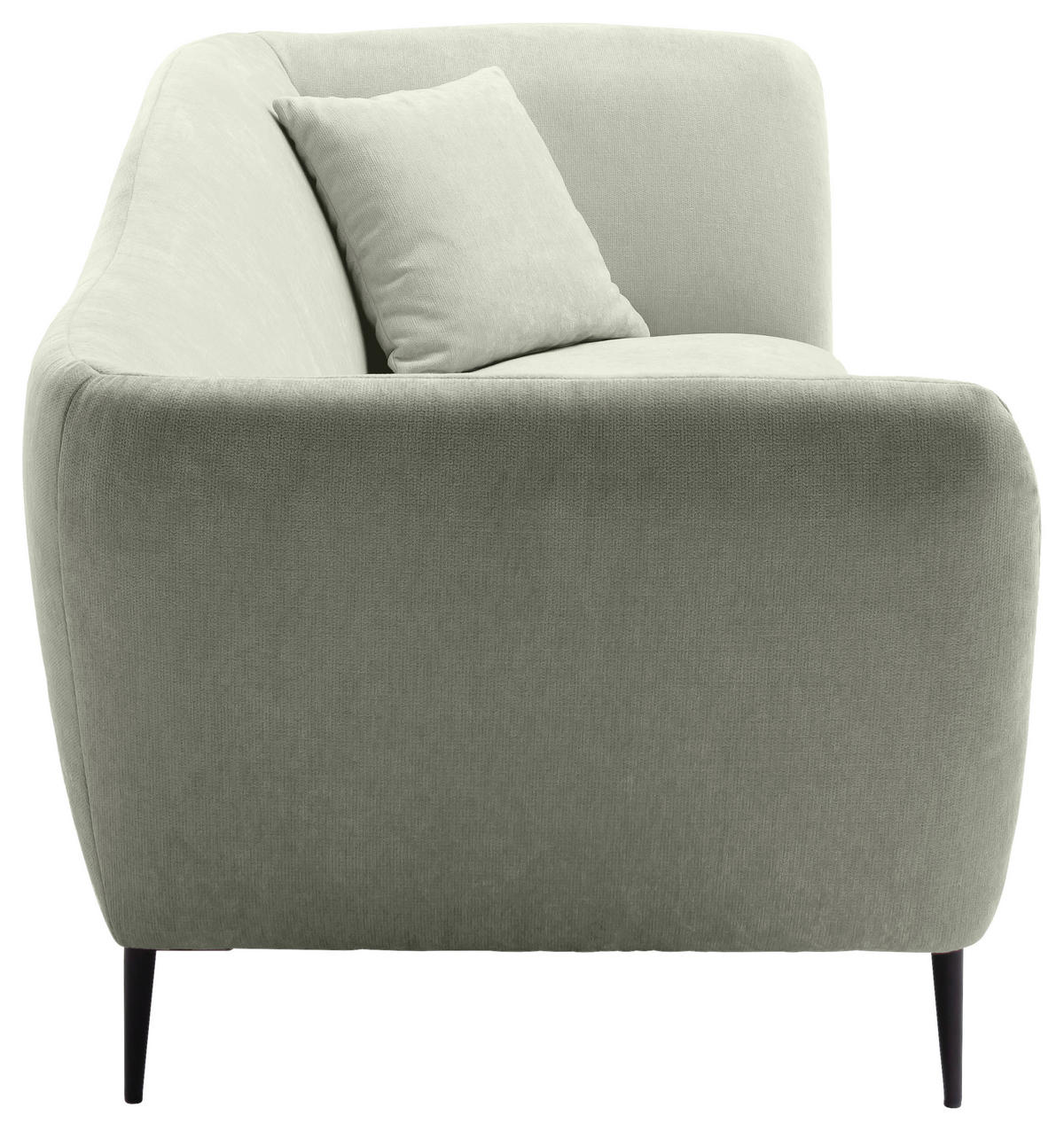 RÉCAMIERE Salbeigrün Chenille Zierkissen, Rücken echt  - Salbeigrün/Schwarz, KONVENTIONELL, Textil/Metall (224/70/97cm) - Hom`in