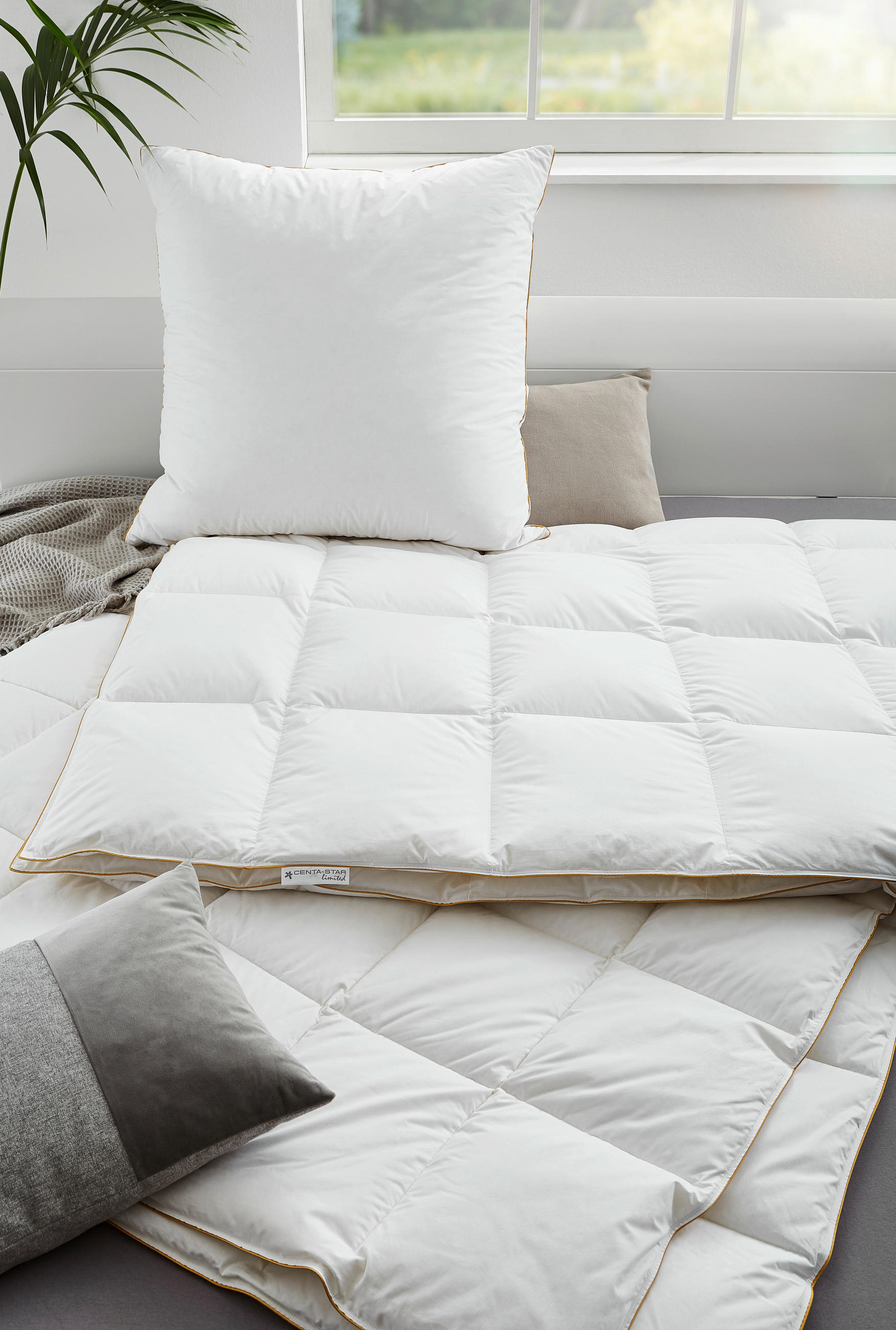 DAUNENDECKE  Golden Fame  200/200 cm   - Weiß, Basics, Textil (200/200cm) - Centa-Star