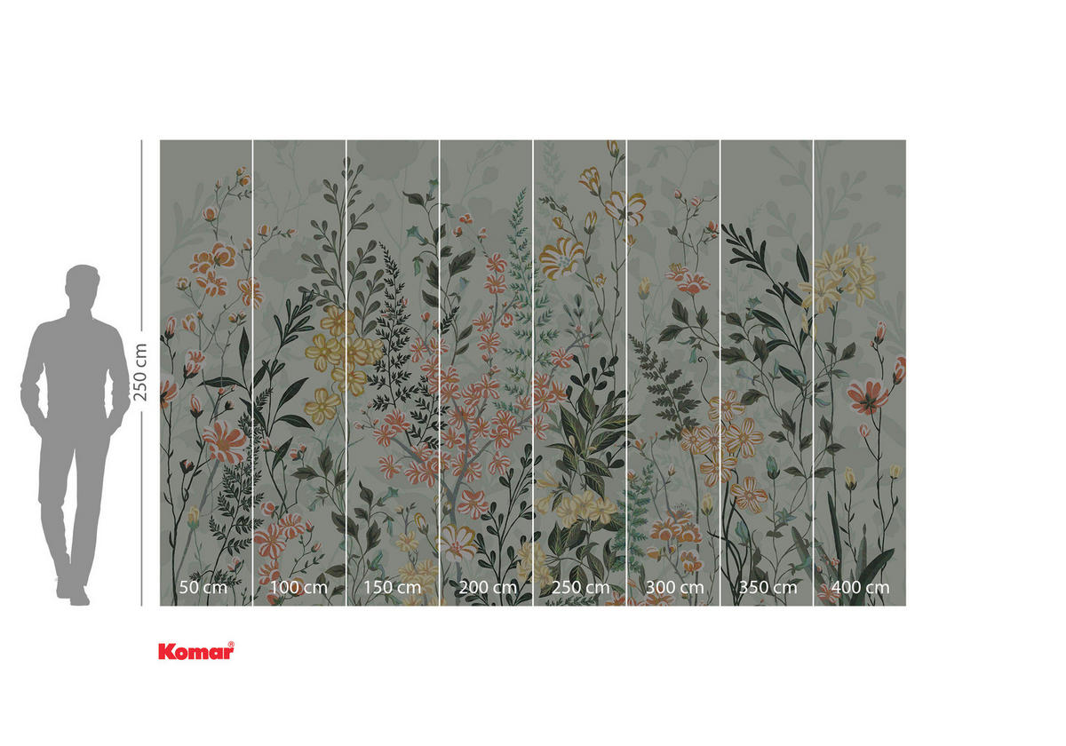 VLIESTAPETE 2,5 m  - Multicolor, Basics (400/250cm) - Xora