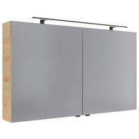 SPIEGELSCHRANK 120/70,3/17 cm  - Silberfarben/Schwarz, KONVENTIONELL, Glas/Holzwerkstoff (120/70,3/17cm) - Dieter Knoll