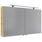 SPIEGELSCHRANK 120/70,3/17 cm  - Silberfarben/Schwarz, KONVENTIONELL, Glas/Holzwerkstoff (120/70,3/17cm) - Dieter Knoll