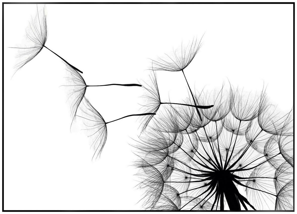 BILD Blumen  - Schwarz/Weiß, KONVENTIONELL, Holzwerkstoff (70/50/2cm) - Reinders!