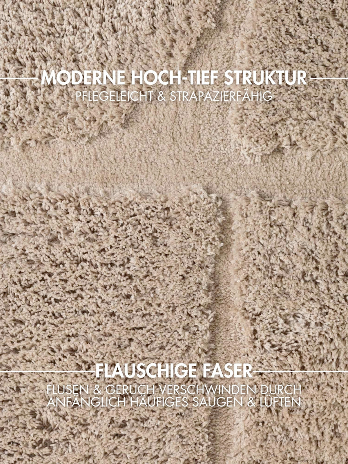 HOCHFLORTEPPICH 200/300 cm Lambeth Beige rechteckig  - Beige, Basics, Textil (200/300cm) - Ted Baker