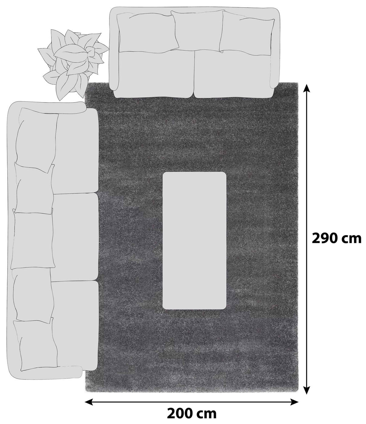 HOCHFLORTEPPICH 200/290 cm Bellevue Dunkelgrau  - Dunkelgrau, Basics, Textil (200/290cm) - Novel