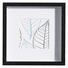 BILDERRAHMEN in Schwarz - Schwarz, Basics, Glas/Holz (25/25/3cm) BILDERRAHMEN in Schwarz - Schwarz, Basics, Glas/Holz (25/25/3cm)