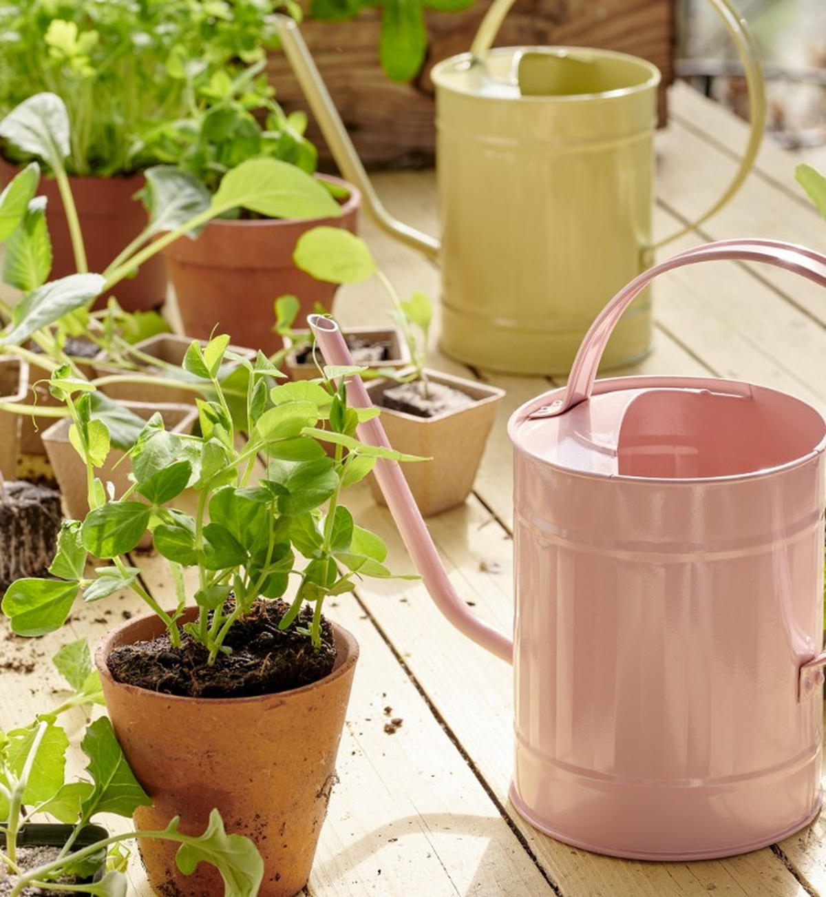 GIEßKANNE - Rosa/Weiß, LIFESTYLE, Metall (30,00/12,00/22,00cm)