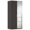 DREHTÜRENSCHRANK 101/223/61 cm,  in Graphitfarben, 2-türig  - Chromfarben/Edelstahlfarben, Basics, Glas/Holzwerkstoff (101/223/61cm) - Novel