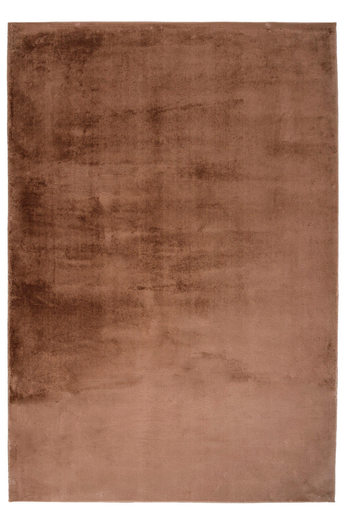 HOCHFLORTEPPICH 80/150 cm Braun rechteckig  - Braun, Basics, Textil (80/150cm) - Kayoom