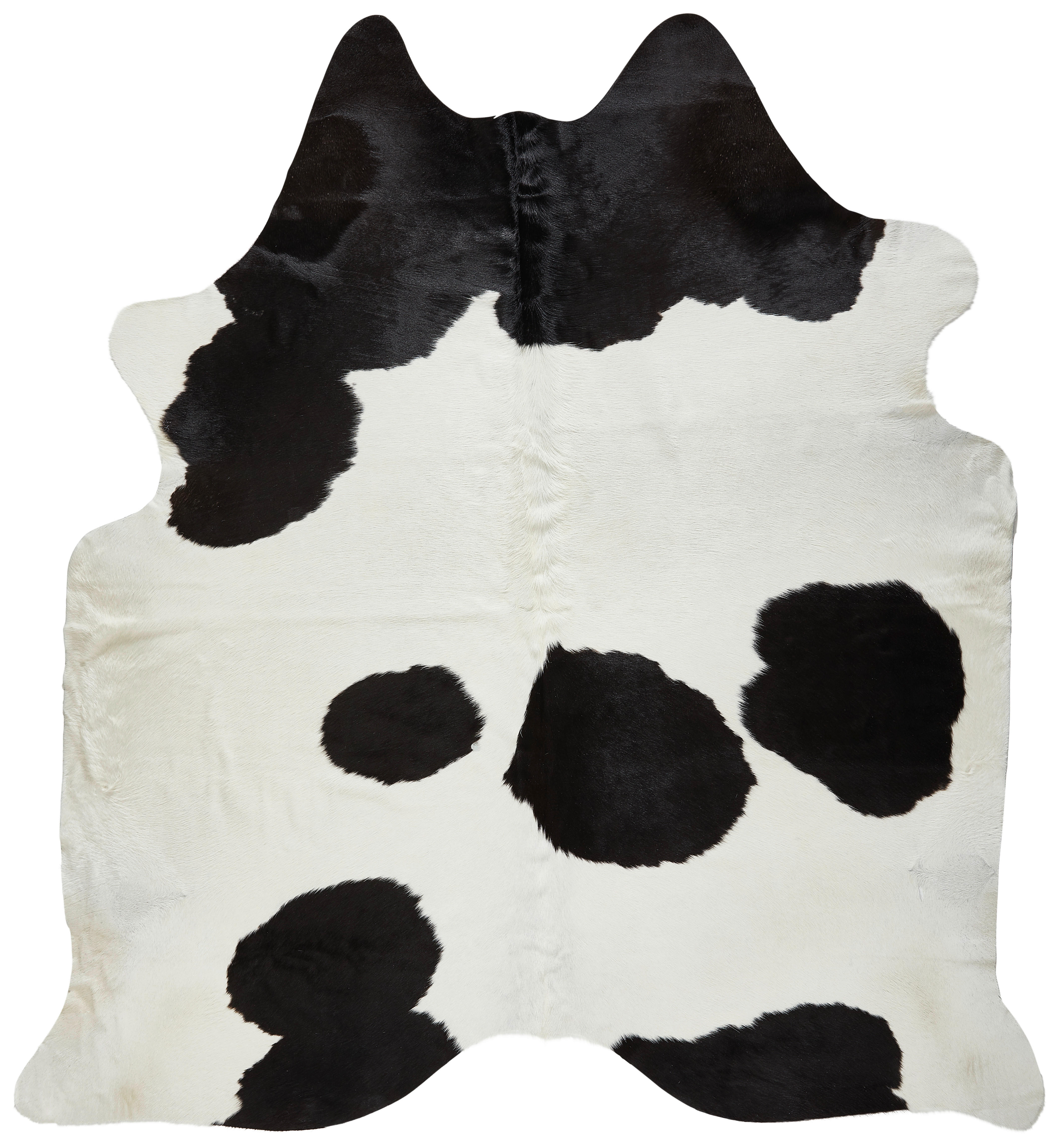 RINDERFELL 160/250 cm  - Multicolor/Schwarz, Basics, Leder/Fell (160/250cm) - Linea Natura
