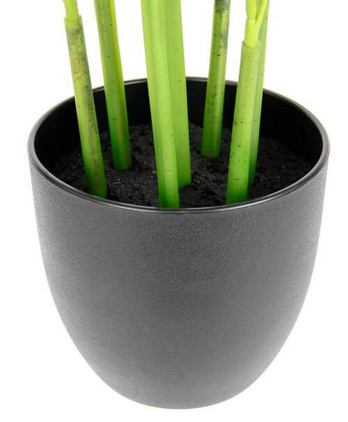 KUNSTPFLANZE 80 cm  - Grün, Basics, Kunststoff/Textil (80cm)