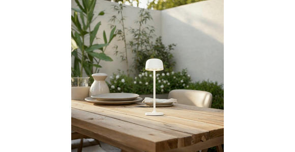 AKKU-TISCHLEUCHTE Las Vegas 7,6/24 cm  - Transparent/Weiß, Design, Kunststoff/Metall (7,6/24cm) - Novel