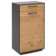 SCHUHSCHRANK  in 60/103/37 cm  - Eichefarben/Anthrazit, Design, Holz/Holzwerkstoff (60/103/37cm) - Dieter Knoll