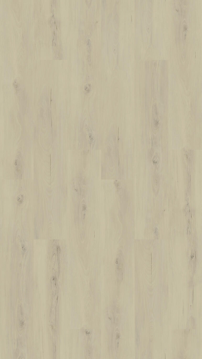 Vinylboden Buche Weitra  per  m² - Design, Holz (123,5/23/0,95cm) - Venda