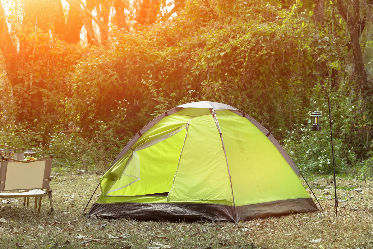 ZELT - Grün, Konventionell, Kunststoff/Textil (205/145/100cm) - Ambia Garden