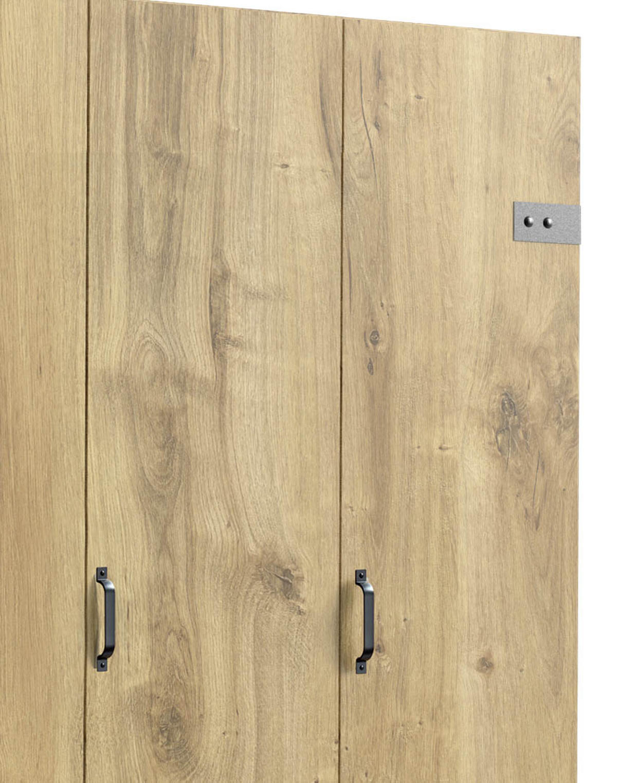 DREHTÜRENSCHRANK in Graphitfarben, Eichefarben  - Eichefarben/Graphitfarben, Basics, Holzwerkstoff/Metall (200/216/58cm) - MID.YOU