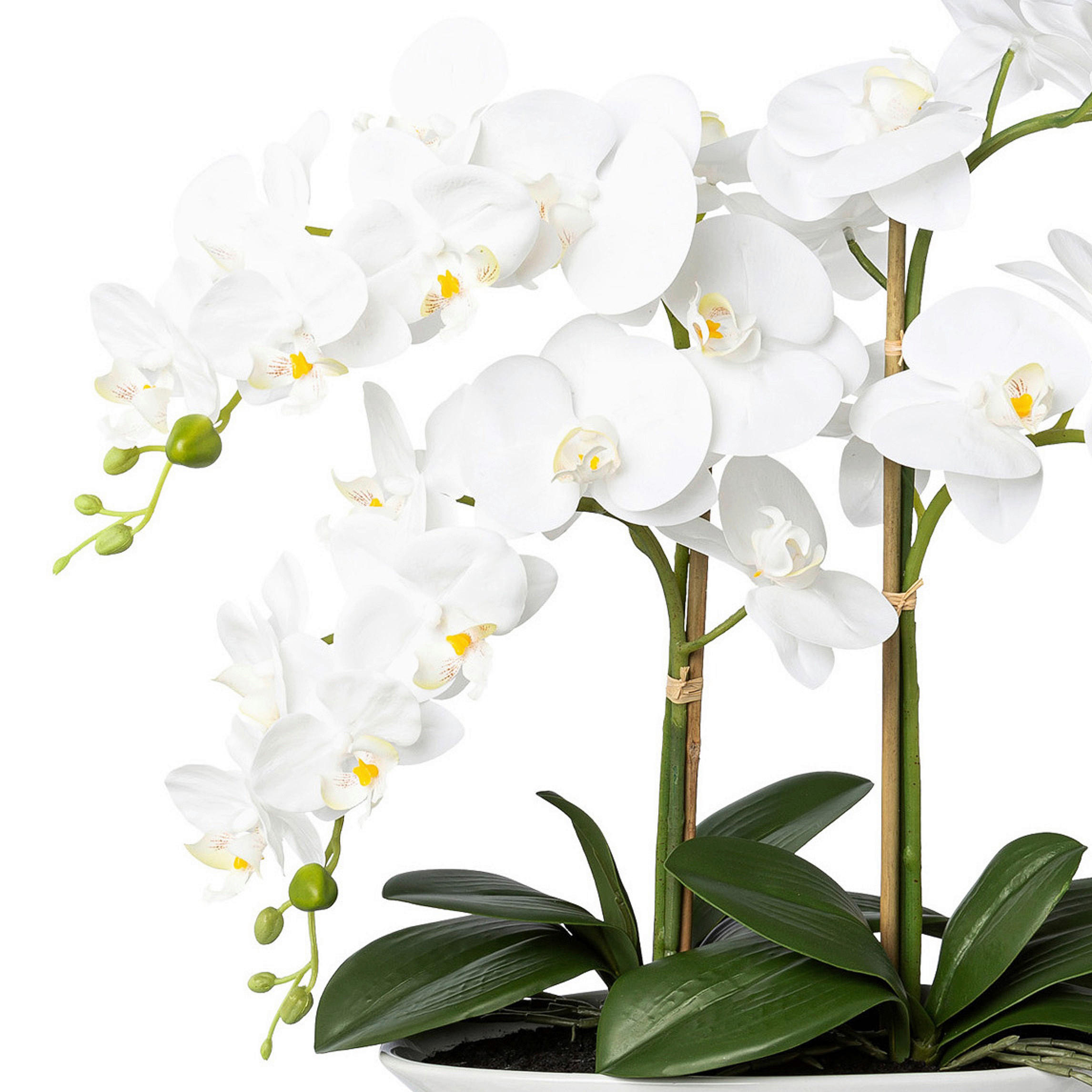 KUNSTPFLANZE Orchidee 53 cm  - Weiß/Grün, Design, Keramik/Kunststoff (53cm) - P & B