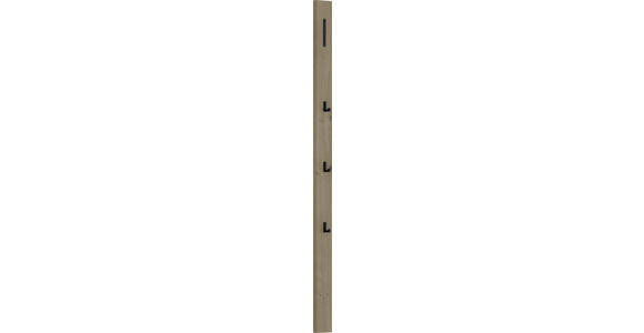 GARDEROBENPANEEL in 10/165/5 cm - Eichefarben/Schwarz, Design, Holzwerkstoff/Metall (10/165/5cm) - Dieter Knoll