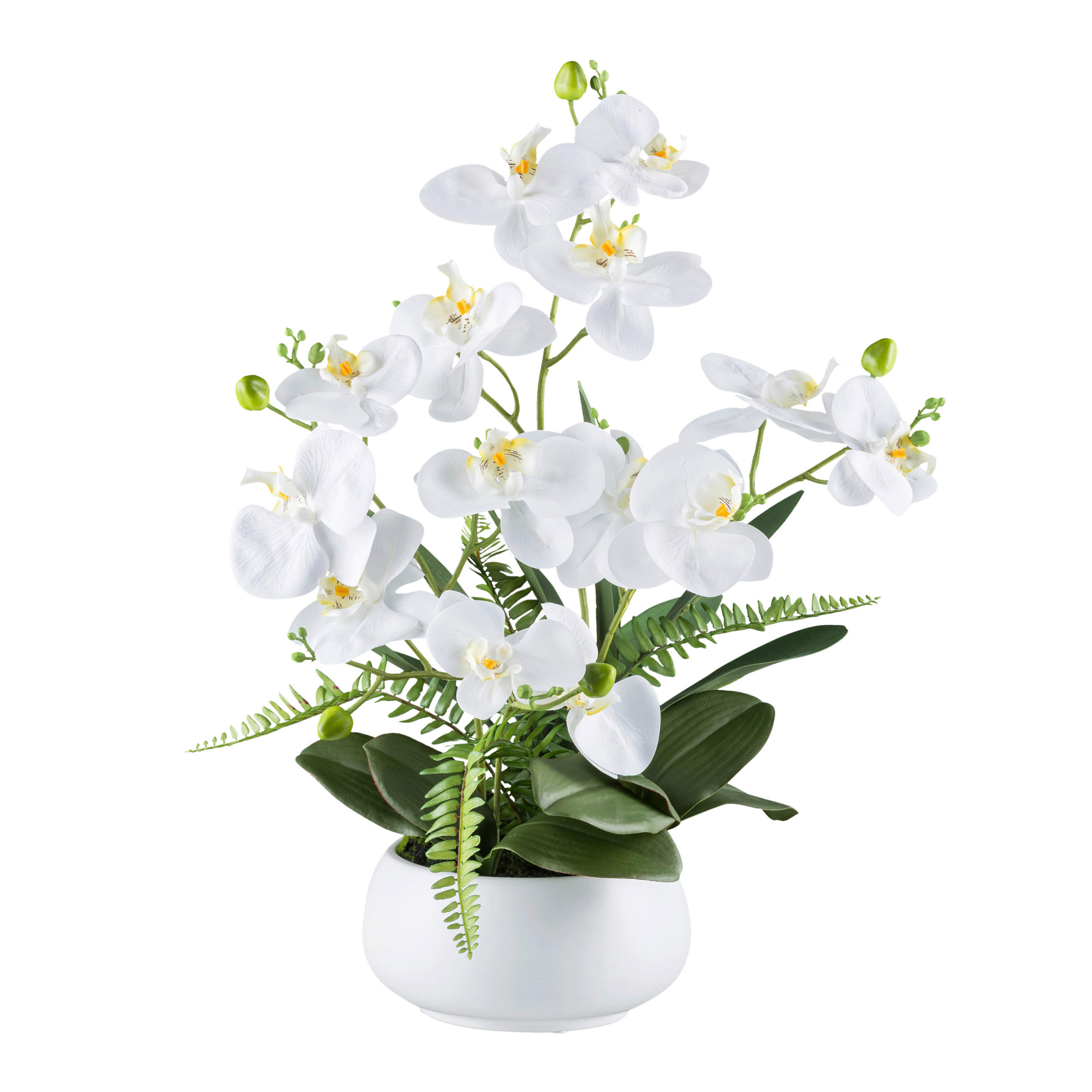 KUNSTPFLANZE Orchidee 55 cm - Weiß/Grün, Design, Keramik/Kunststoff (55cm) - P & B