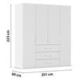 DREHTÜRENSCHRANK in Weiß - Weiß, Design, Holzwerkstoff/Kunststoff (201/223/60cm) - Novel