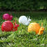 DEKOSCHNECKE - Orange, Trend, Kunststoff (37/25/20cm)