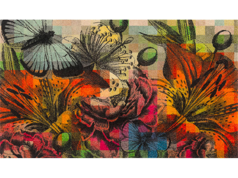 DVEŘNÍ ROHOŽKA, 70/120 cm, vícebarevná - vícebarevná, Konvenční, textil/plast (70/120cm) - Esposa