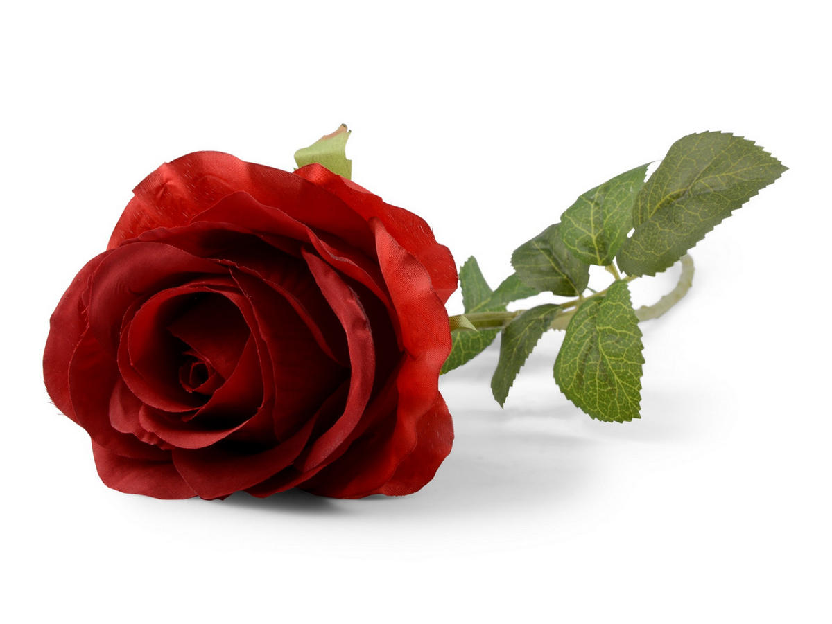 ROS - grön/mörkröd, Basics, plast (57cm) - Best Price