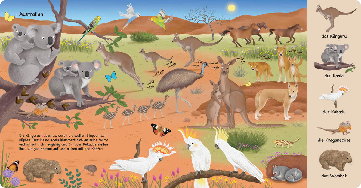 WIMMELBUCH Tiere im Wald  - Multicolor, Basics, Papier (23,5/24,5/1,6cm)