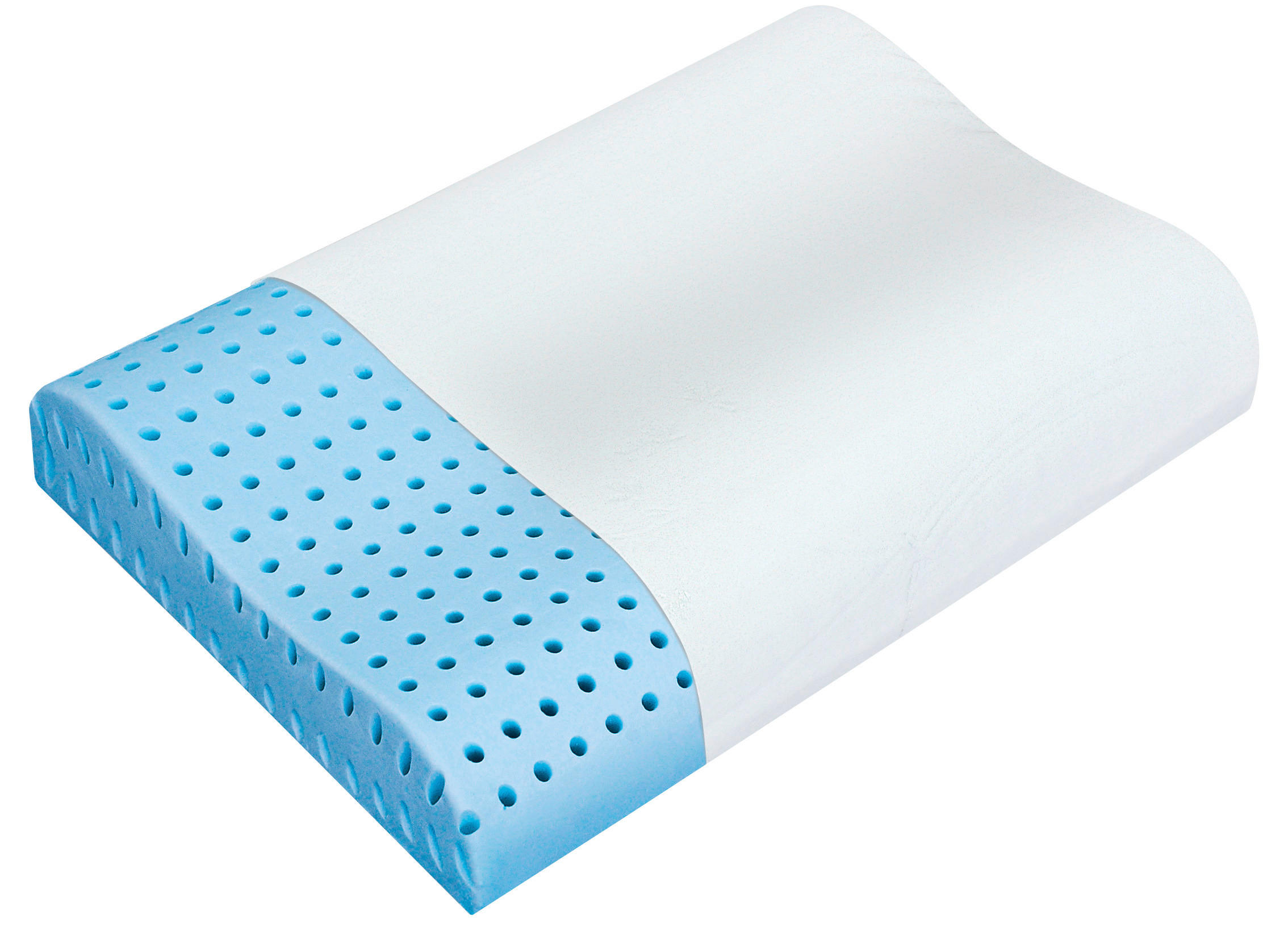 PÁRNA   - Basics (60/10/43cm) - Sleeptex