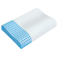 PÁRNA   - Basics (60/10/43cm) - Sleeptex