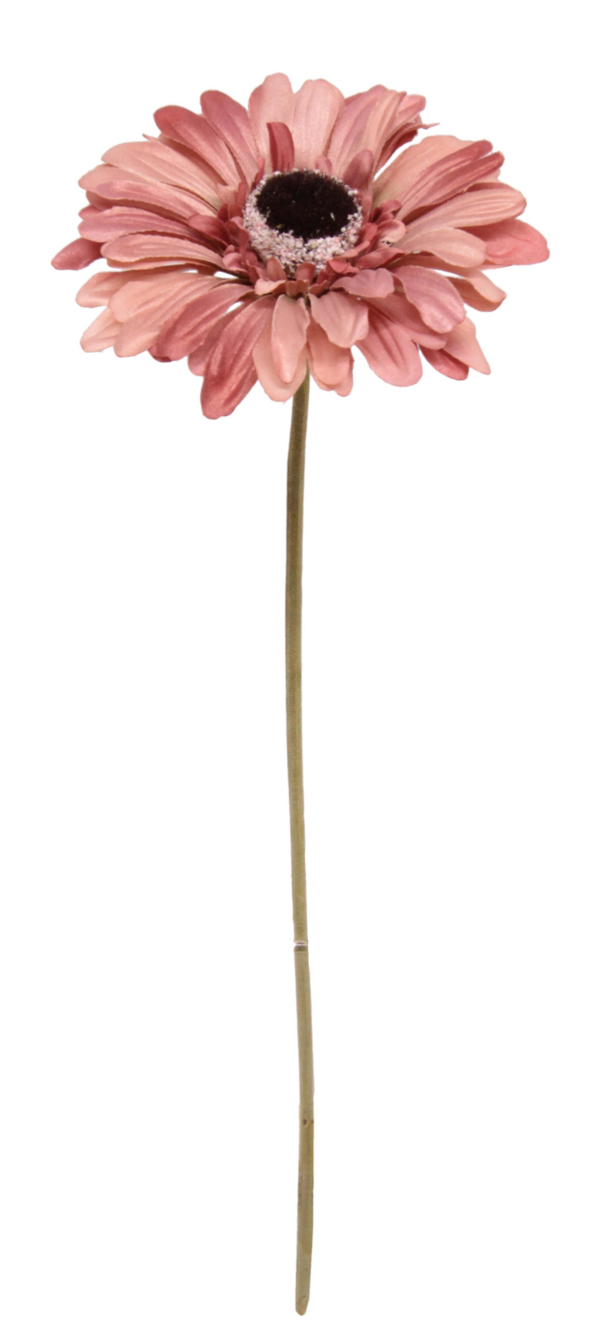 GERBERA  - Mauve, Basics, Textil (11/53cm)