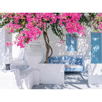 GLASBILD Architektur, Strand & Meer 30/40 cm  - Multicolor, Natur, Glas (30/40cm) - Euroart
