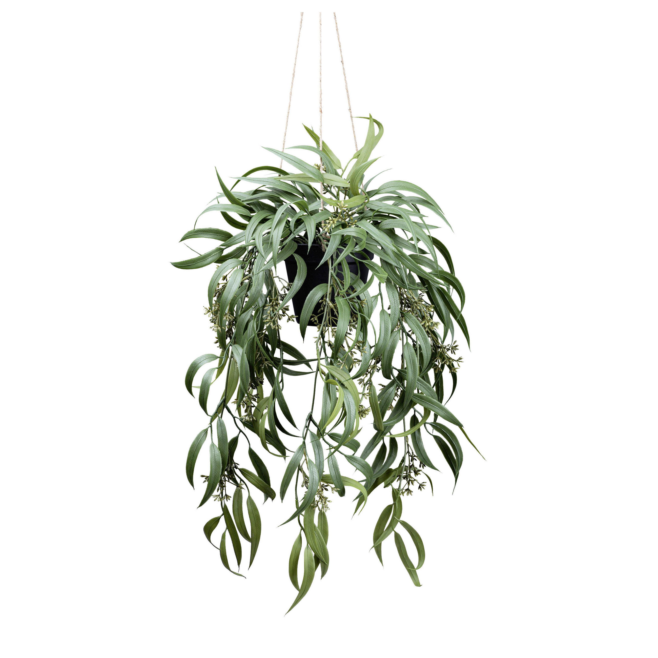 KUNSTPFLANZE Eukalyptus 65 cm  - Dunkelgrün/Schwarz, Basics, Kunststoff (65cm)