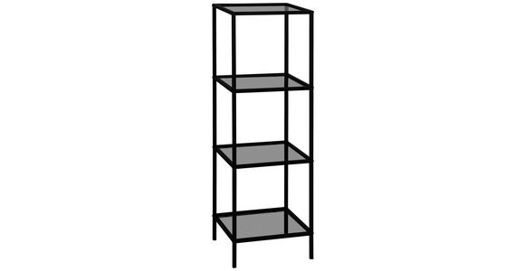 REGAL  37/118/33 cm Schwarz  - Schwarz, Basics, Glas/Metall (37/118/33cm) - Carryhome