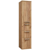 HOCHSCHRANK 35/165/37 cm  - Edelstahlfarben/Alteiche, Design, Glas/Holz (35/165/37cm) - Dieter Knoll