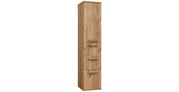 HOCHSCHRANK 35/165/37 cm  - Edelstahlfarben/Alteiche, Design, Glas/Holz (35/165/37cm) - Dieter Knoll