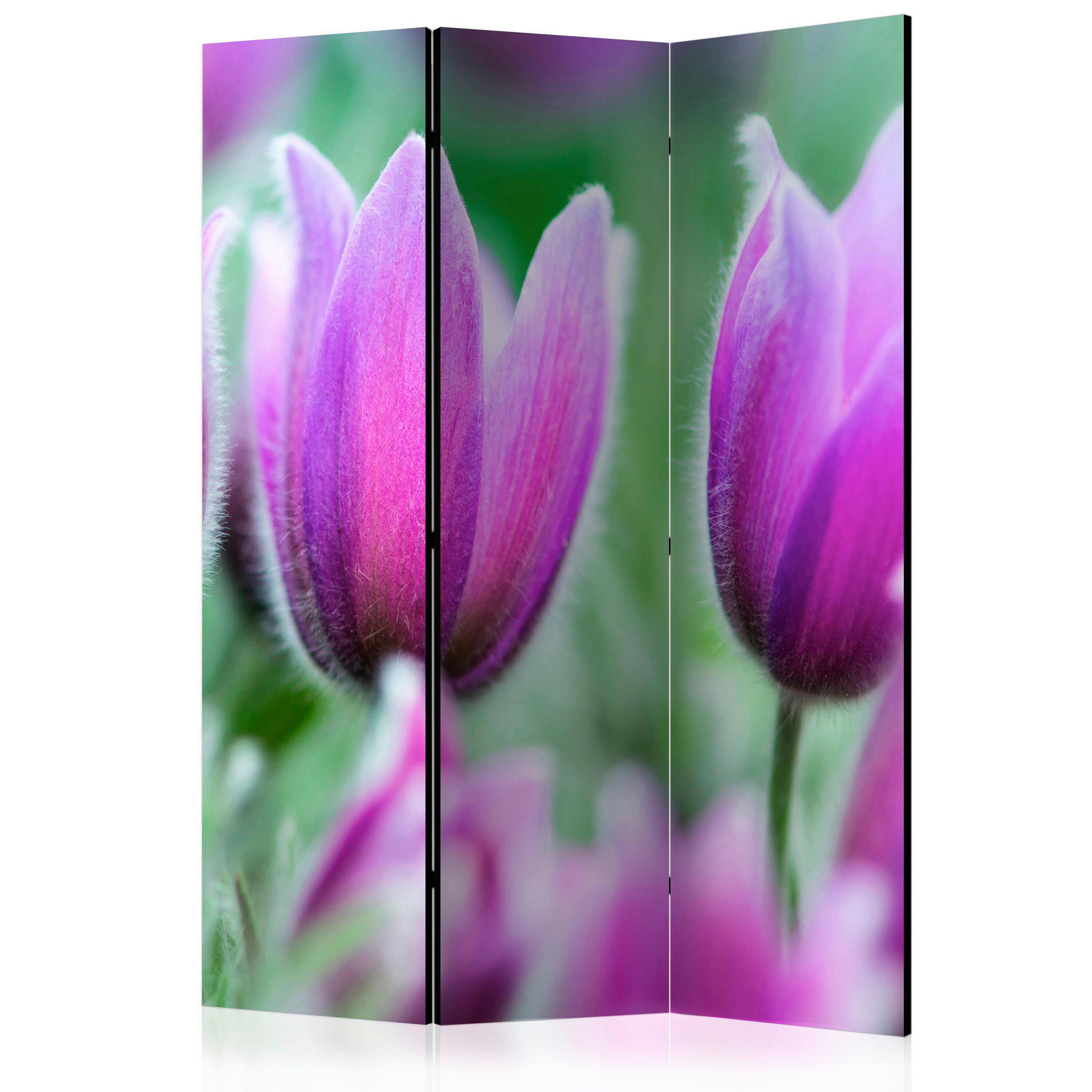 PARAVENT mit 3  Flügel - Violett/Grün, Basics, Holz/Textil (135/172/3cm) - artgeist
