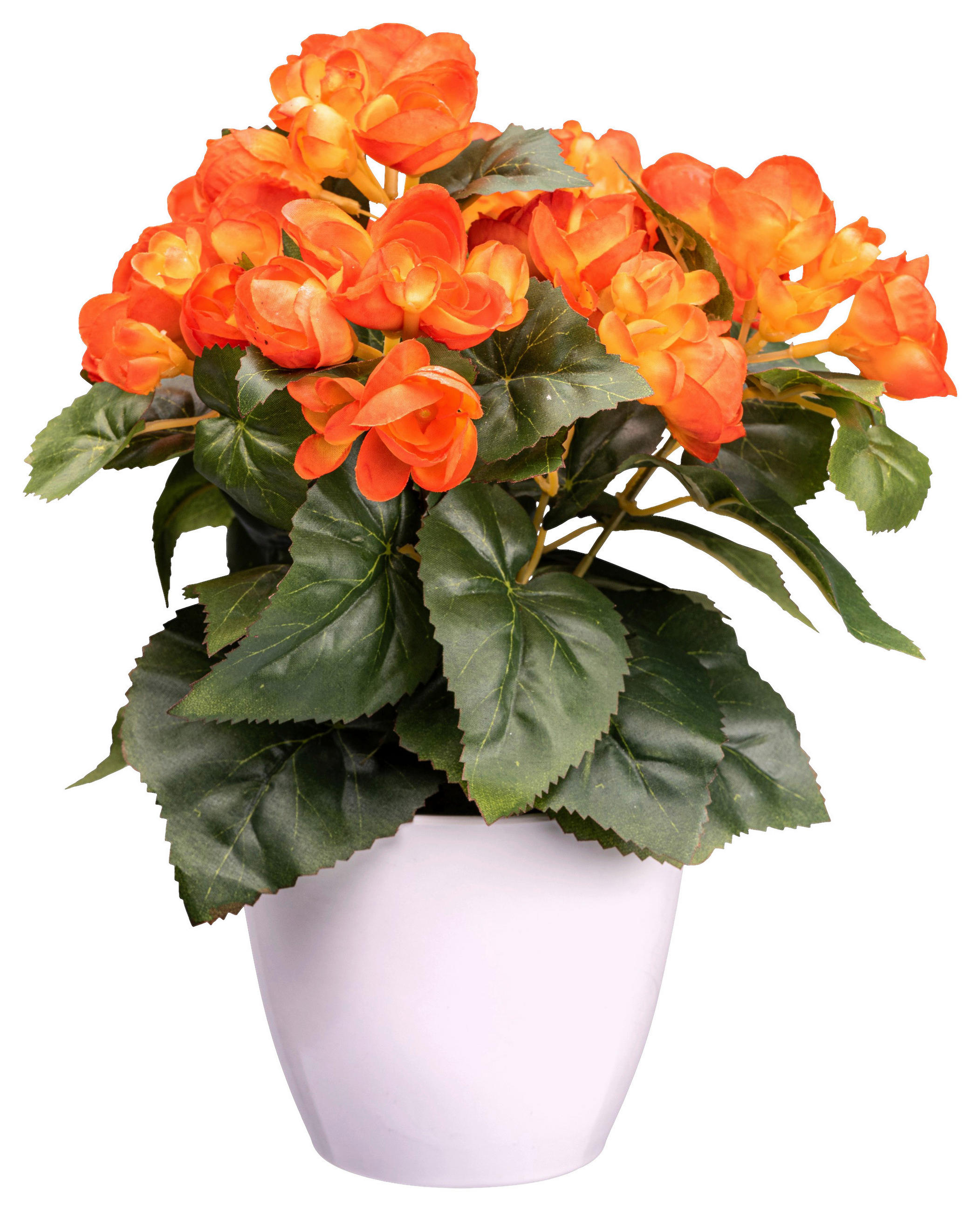 KUNSTPFLANZE 28 cm  - Orange/Weiß, Design, Kunststoff (28cm) - P & B