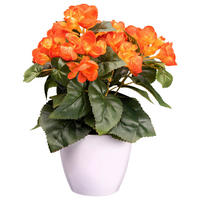 KUNSTPFLANZE 28 cm  - Orange/Weiß, Design, Kunststoff (28cm) - P & B